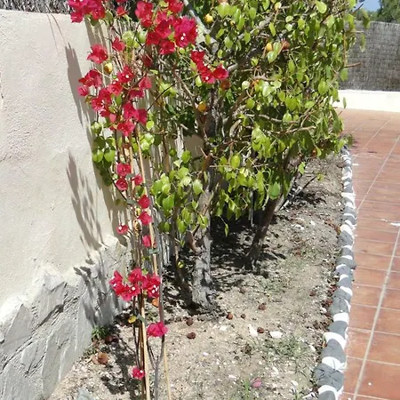 Esperanza *
